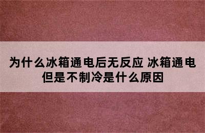 为什么冰箱通电后无反应 冰箱通电但是不制冷是什么原因